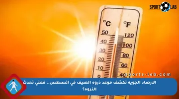 الأرصاد الجوية تكشف موعد ذروة الصيف في أغسطس.. فمتى تحدث الذروة؟
